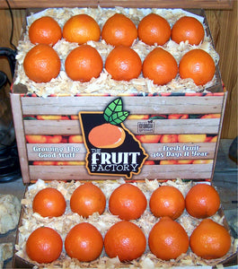 The Fruit Factory Tangelo Classic Box